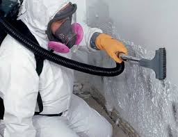 Best Forensic Mold Investigation  in Macdonnell Heights, NY